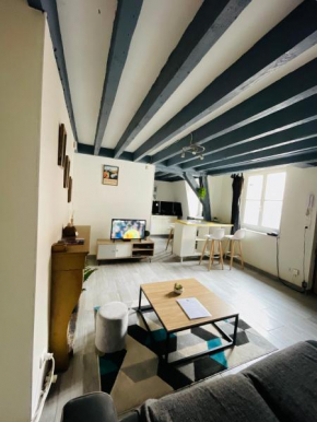 Duplex au cœur de Dijon